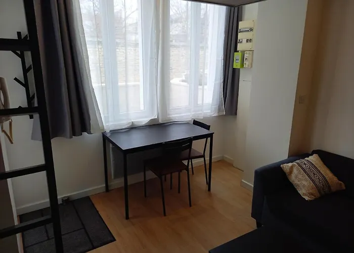 Daire Avec Terrasse En Calme A Dijon.