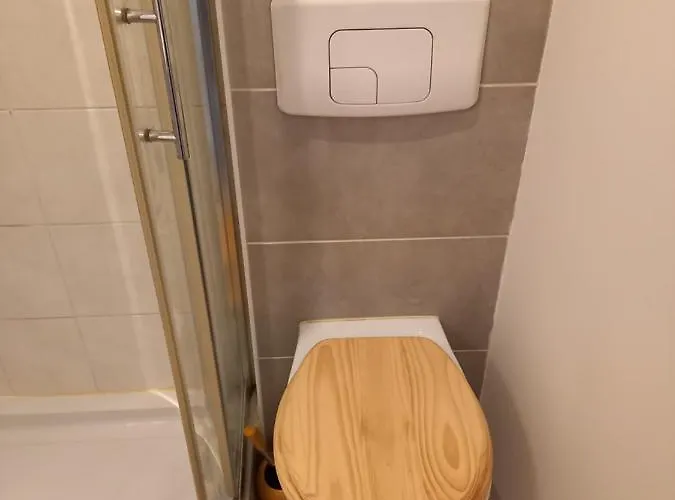 Avec Terrasse En Calme A Dijon. Διαμέρισμα Ντιζόν